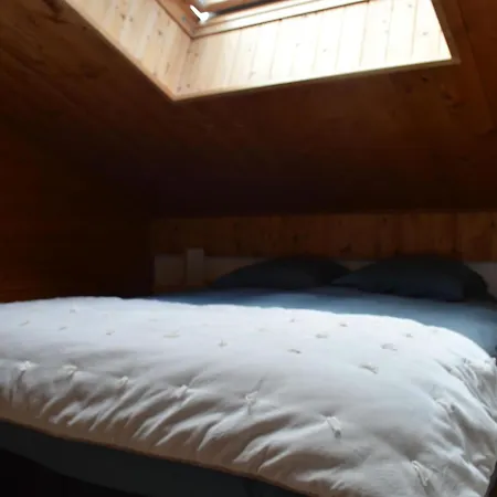 Snug In Near Ski Area Appartement