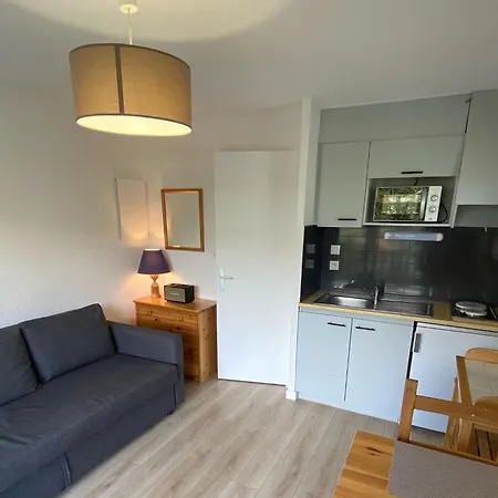 Snug In Near Ski Area Appartement *