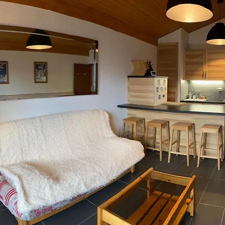 Snug In Near Ski Area Appartement