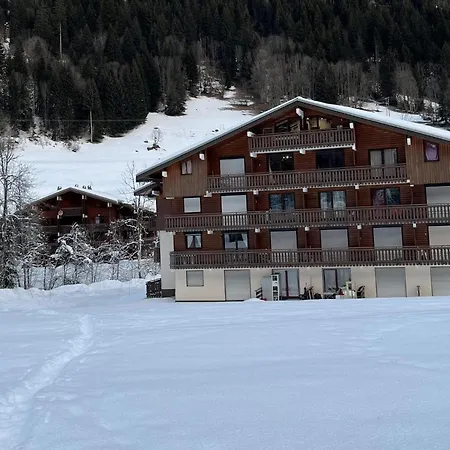 Appartement Snug In Near Ski Area *
