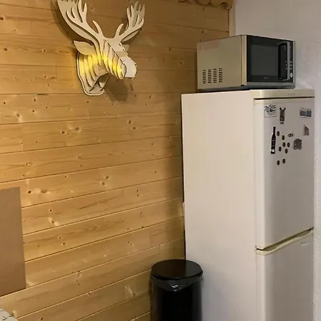 Appartement Snug In Near Ski Area *